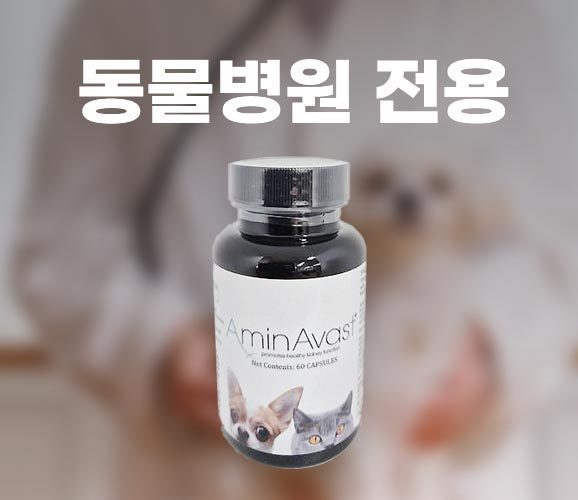 AminAvast (11+1)